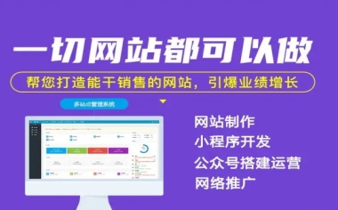 哈尔滨小微企业预算8000做官网，SaaS建站和模板改色该选哪个